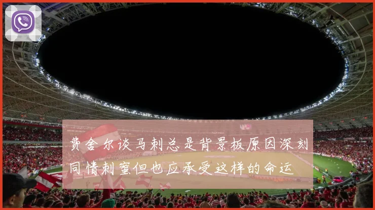 费舍尔谈马刺总是背景板原因深刻同情刺蜜但也应承受这样的命运