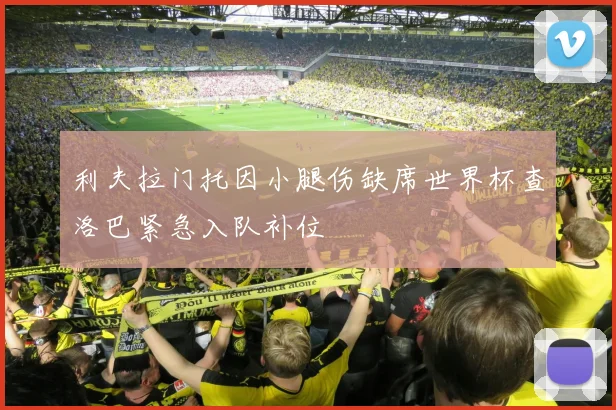 利夫拉门托因小腿伤缺席世界杯查洛巴紧急入队补位